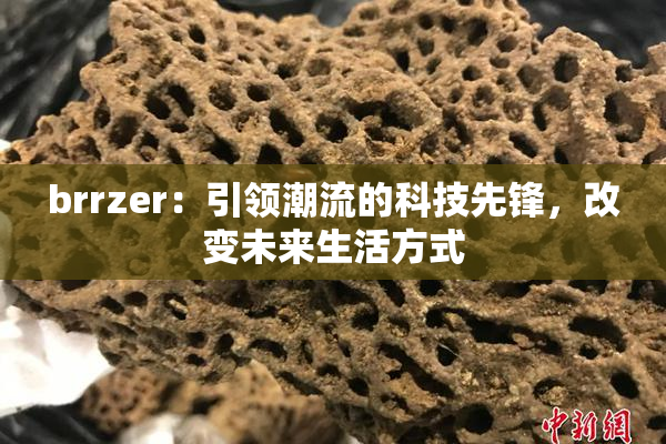 brrzer：引领潮流的科技先锋，改变未来生活方式