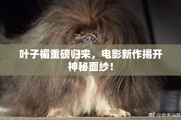 叶子楣重磅归来，电影新作揭开神秘面纱！