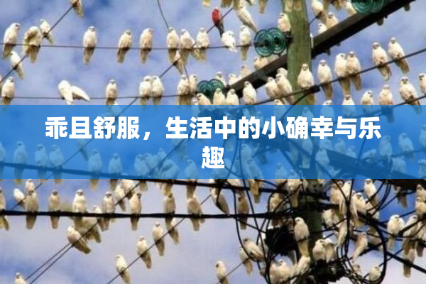 乖且舒服，生活中的小确幸与乐趣