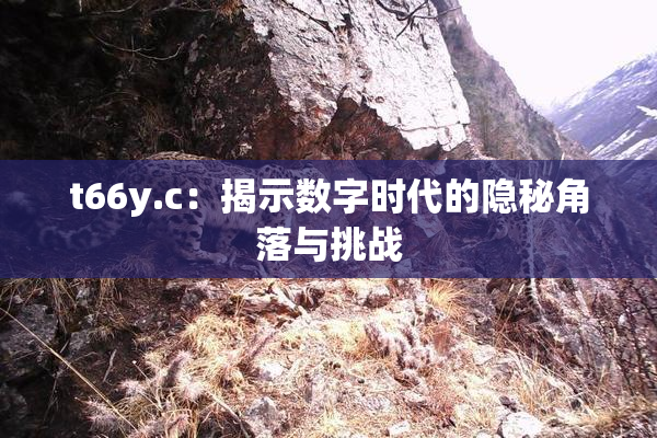 t66y.c：揭示数字时代的隐秘角落与挑战