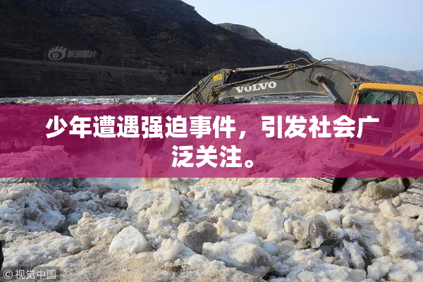 少年遭遇强迫事件，引发社会广泛关注。