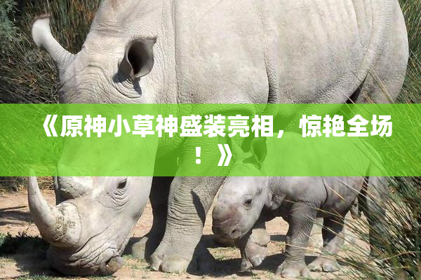 《原神小草神盛装亮相，惊艳全场！》