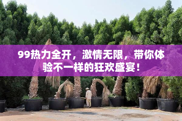 99热力全开，激情无限，带你体验不一样的狂欢盛宴！