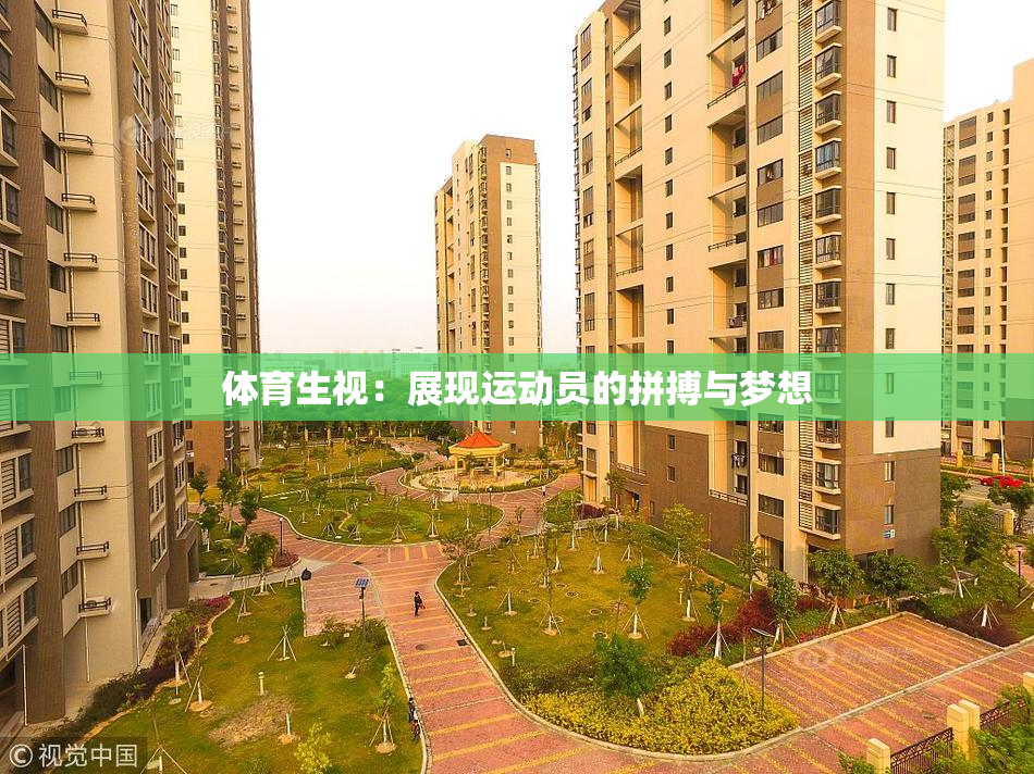 体育生视：展现运动员的拼搏与梦想
