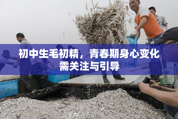 初中生毛初精，青春期身心变化需关注与引导