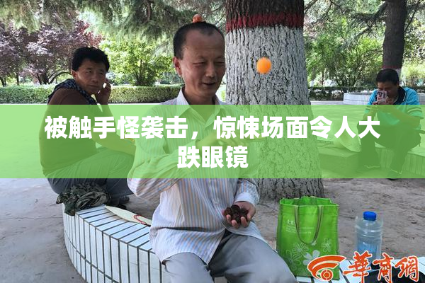 被触手怪袭击，惊悚场面令人大跌眼镜