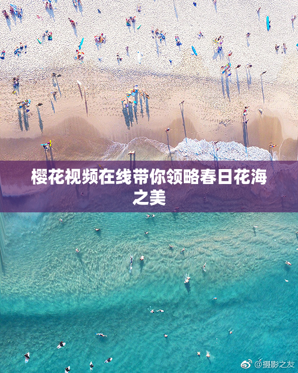樱花视频在线带你领略春日花海之美