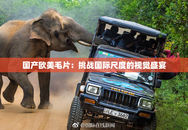 国产欧美毛片：挑战国际尺度的视觉盛宴