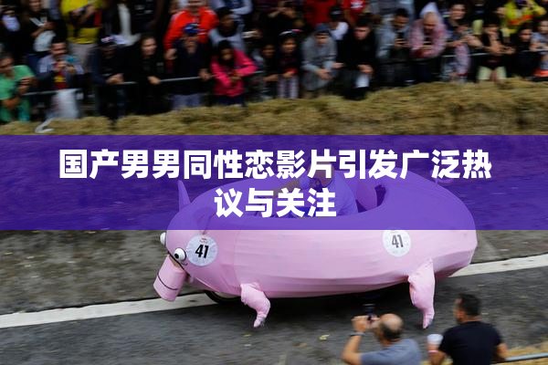 国产男男同性恋影片引发广泛热议与关注