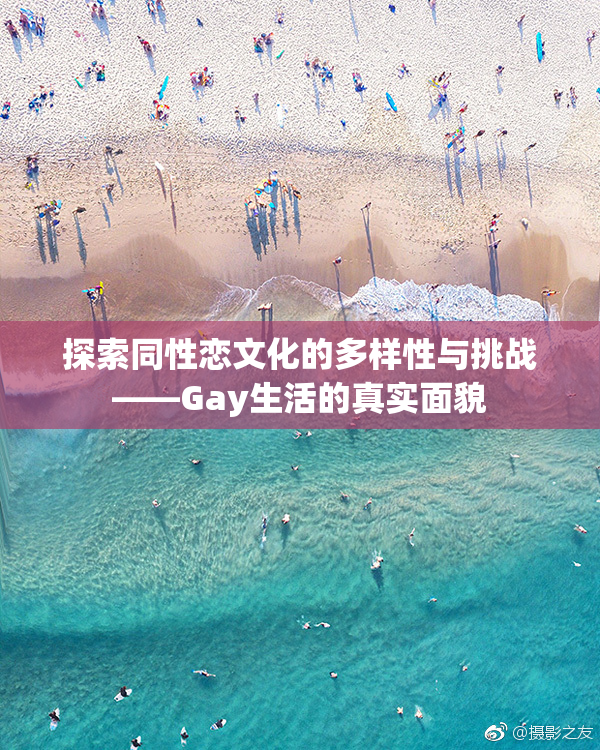 探索同性恋文化的多样性与挑战——Gay生活的真实面貌