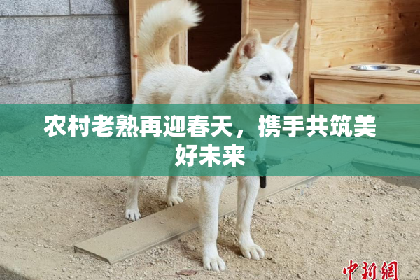 农村老熟再迎春天，携手共筑美好未来