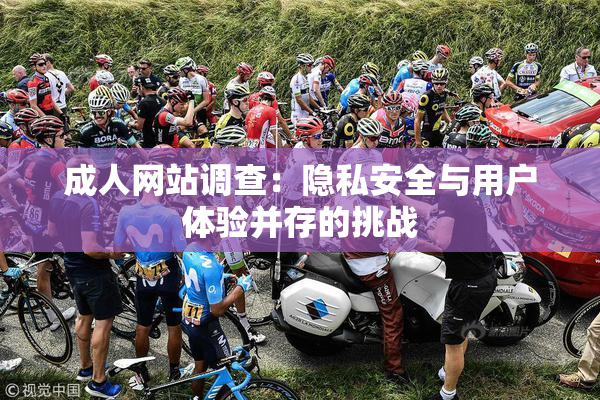 成人网站调查：隐私安全与用户体验并存的挑战