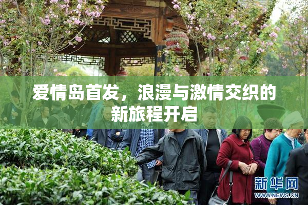 爱情岛首发，浪漫与激情交织的新旅程开启