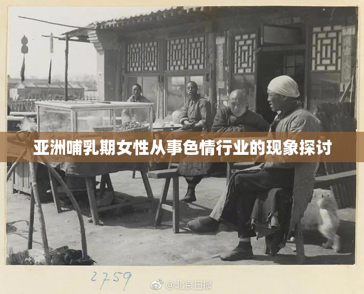 亚洲哺乳期女性从事色情行业的现象探讨