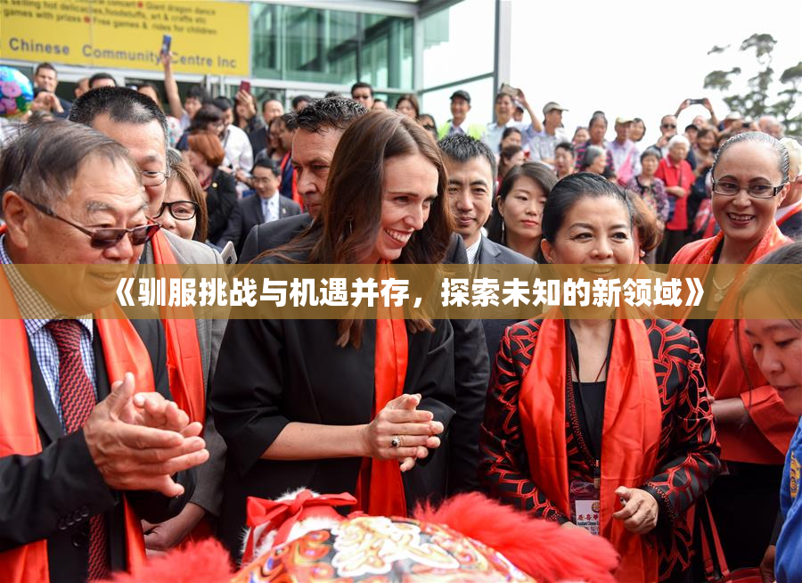 《驯服挑战与机遇并存，探索未知的新领域》