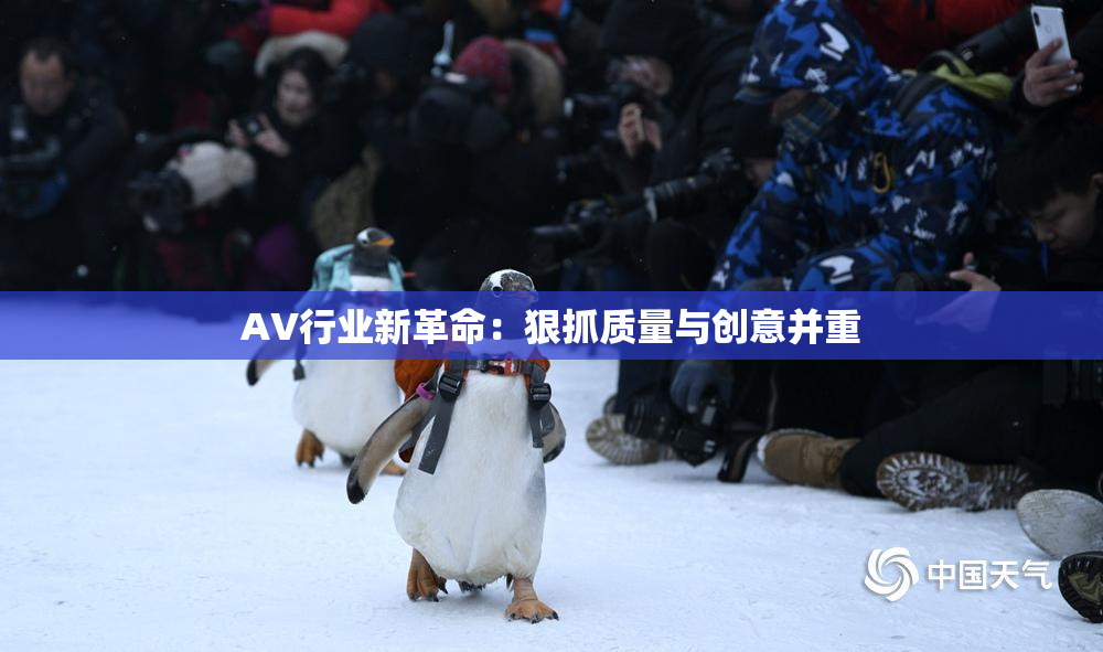 AV行业新革命：狠抓质量与创意并重