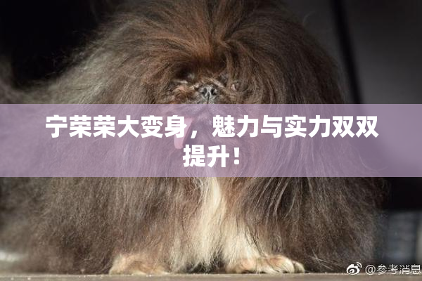 宁荣荣大变身，魅力与实力双双提升！
