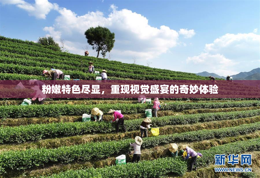 粉嫩特色尽显，重现视觉盛宴的奇妙体验