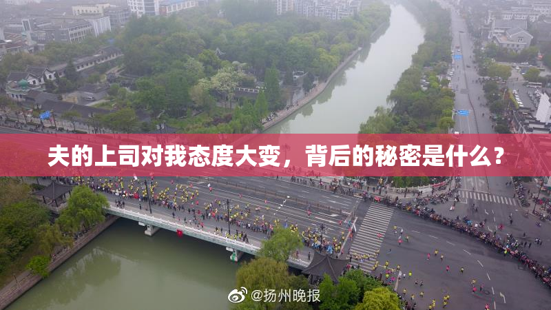 夫的上司对我态度大变，背后的秘密是什么？
