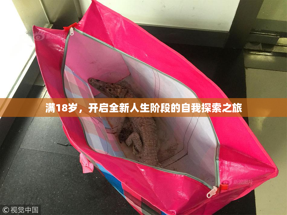 满18岁，开启全新人生阶段的自我探索之旅