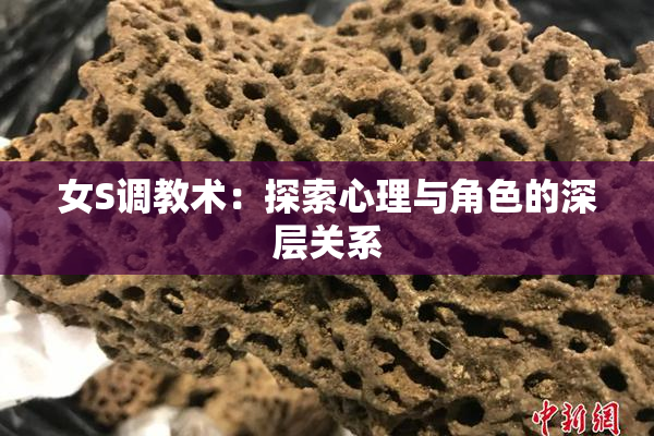 女S调教术：探索心理与角色的深层关系