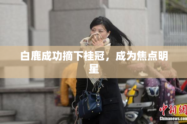 白鹿成功摘下桂冠，成为焦点明星