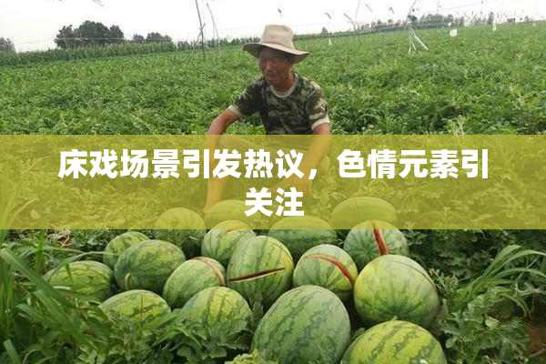床戏场景引发热议，色情元素引关注