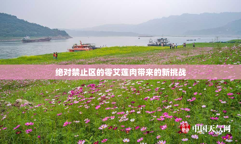 绝对禁止区的零艾莲肉带来的新挑战