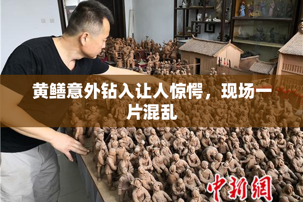 黄鳝意外钻入让人惊愕，现场一片混乱