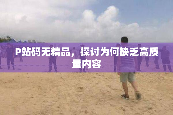 P站码无精品，探讨为何缺乏高质量内容