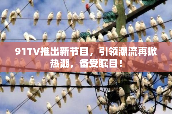 91TV推出新节目，引领潮流再掀热潮，备受瞩目！