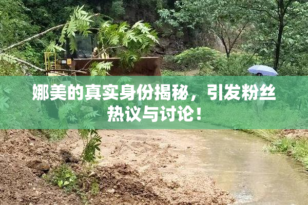 娜美的真实身份揭秘，引发粉丝热议与讨论！