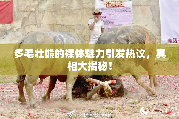 多毛壮熊的裸体魅力引发热议，真相大揭秘！