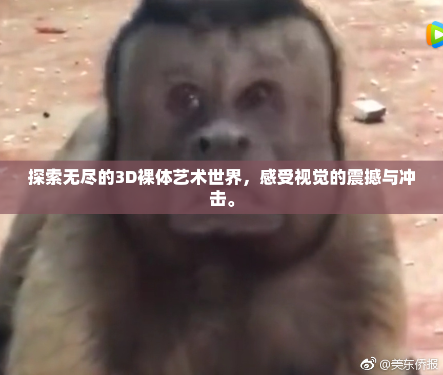 探索无尽的3D裸体艺术世界，感受视觉的震撼与冲击。
