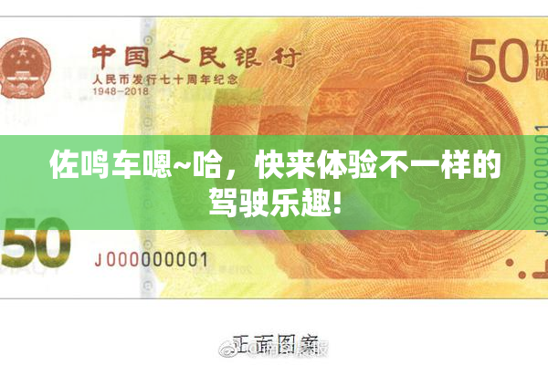佐鸣车嗯~哈，快来体验不一样的驾驶乐趣!