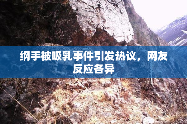 纲手被吸乳事件引发热议，网友反应各异