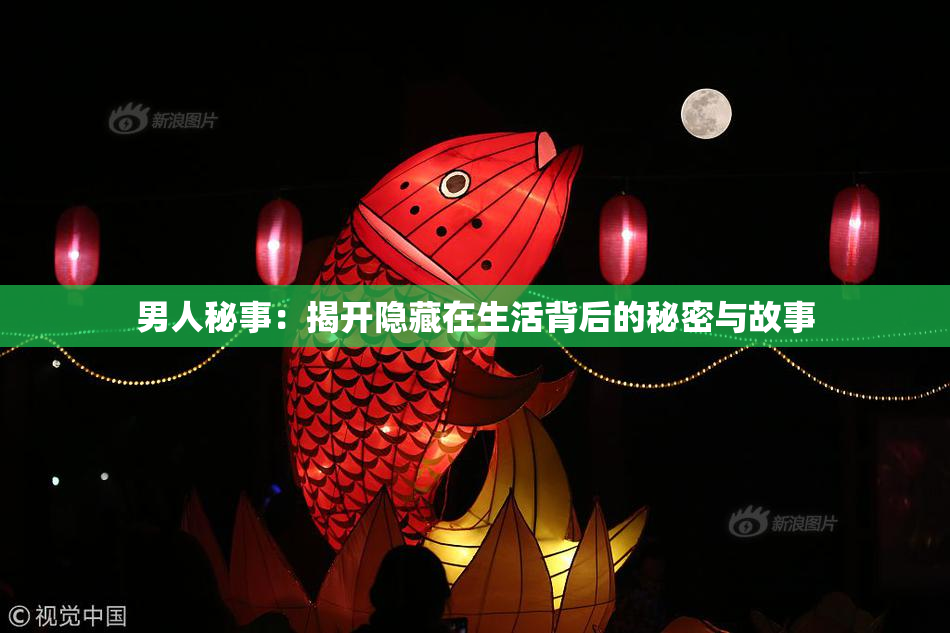 男人秘事：揭开隐藏在生活背后的秘密与故事