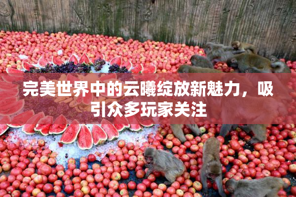完美世界中的云曦绽放新魅力，吸引众多玩家关注
