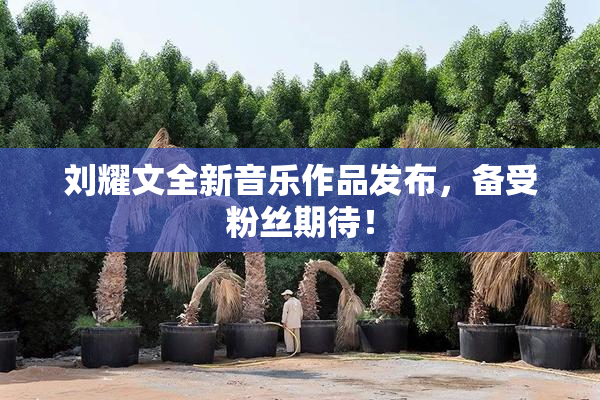 刘耀文全新音乐作品发布，备受粉丝期待！