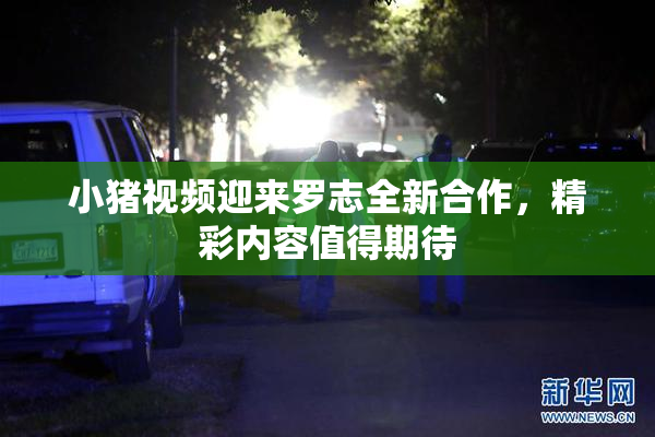 小猪视频迎来罗志全新合作，精彩内容值得期待
