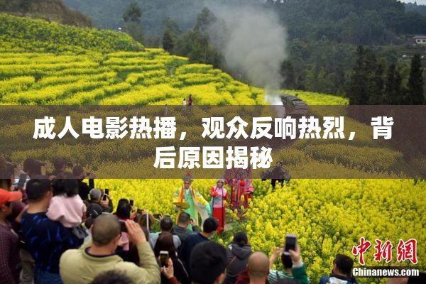 成人电影热播，观众反响热烈，背后原因揭秘
