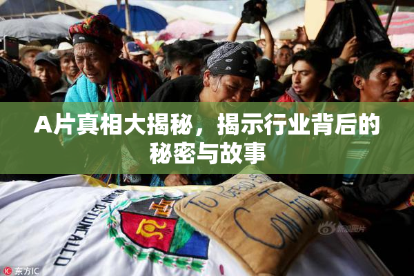 A片真相大揭秘，揭示行业背后的秘密与故事