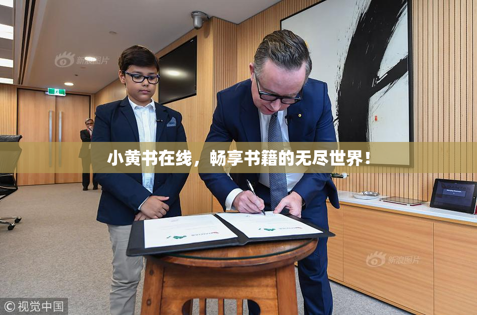小黄书在线，畅享书籍的无尽世界！