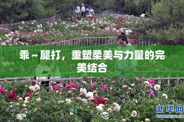 乖～腿打，重塑柔美与力量的完美结合