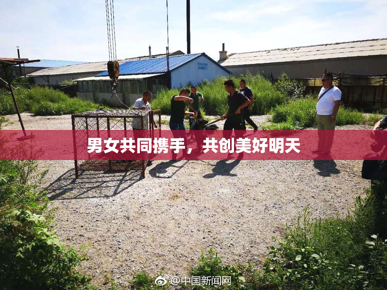 男女共同携手，共创美好明天