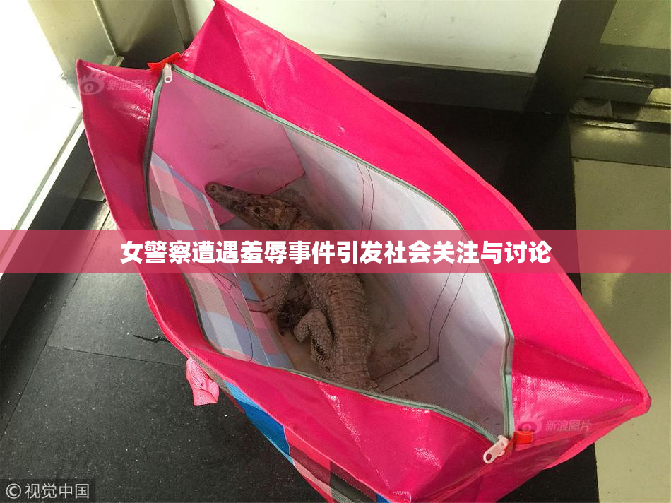 女警察遭遇羞辱事件引发社会关注与讨论
