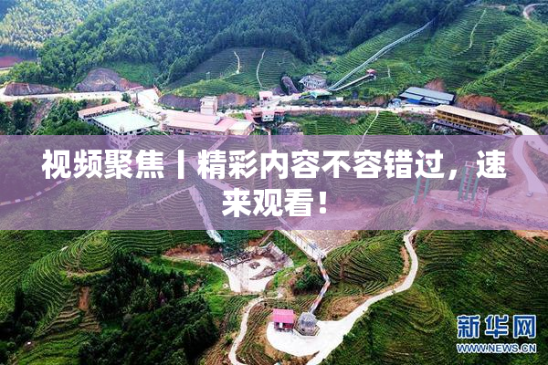 视频聚焦丨精彩内容不容错过，速来观看！