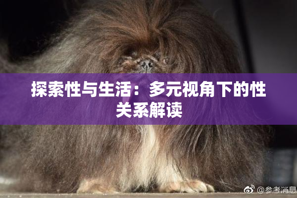 探索性与生活：多元视角下的性关系解读