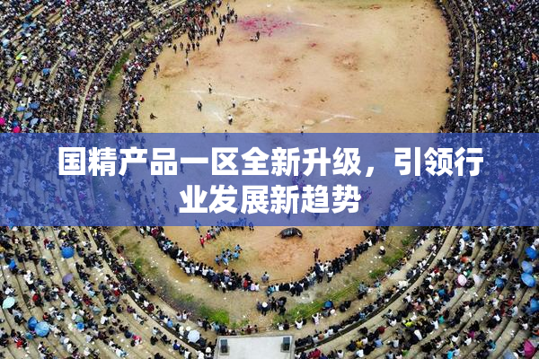 国精产品一区全新升级，引领行业发展新趋势