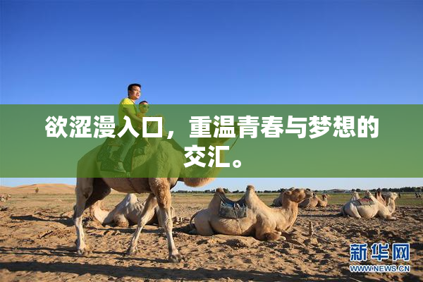 欲涩漫入口，重温青春与梦想的交汇。
